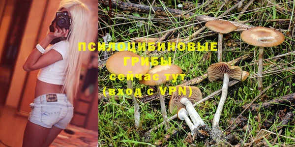 ECSTASY Абаза