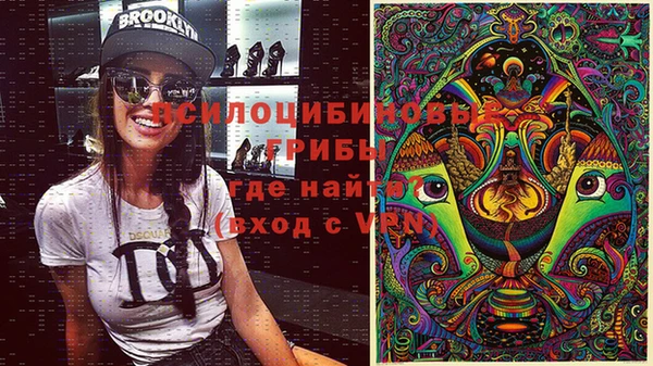ГАЛЛЮЦИНОГЕННЫЕ ГРИБЫ Пестово